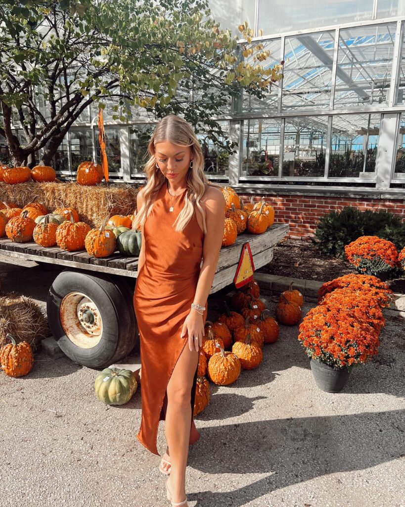 Gorgeous Rustic Wedding Guest Dress