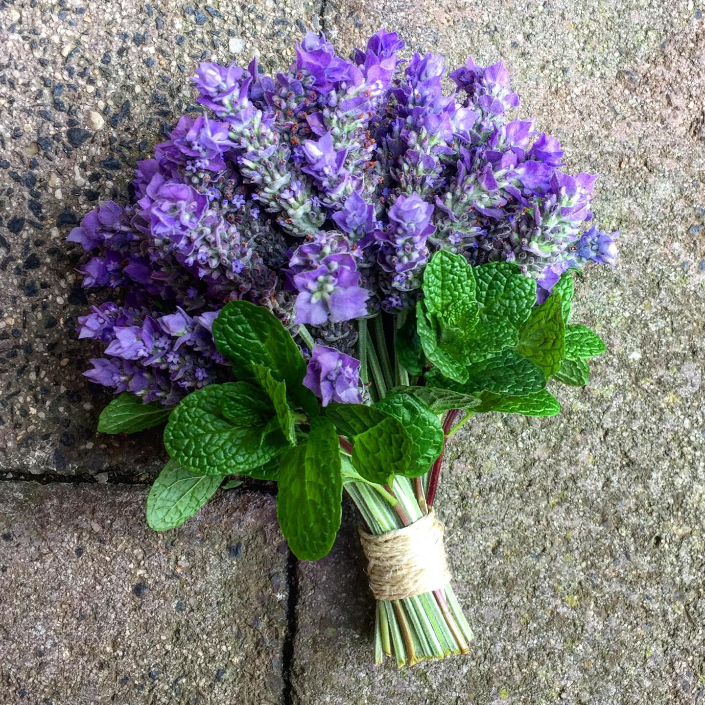 Lavender and Mint